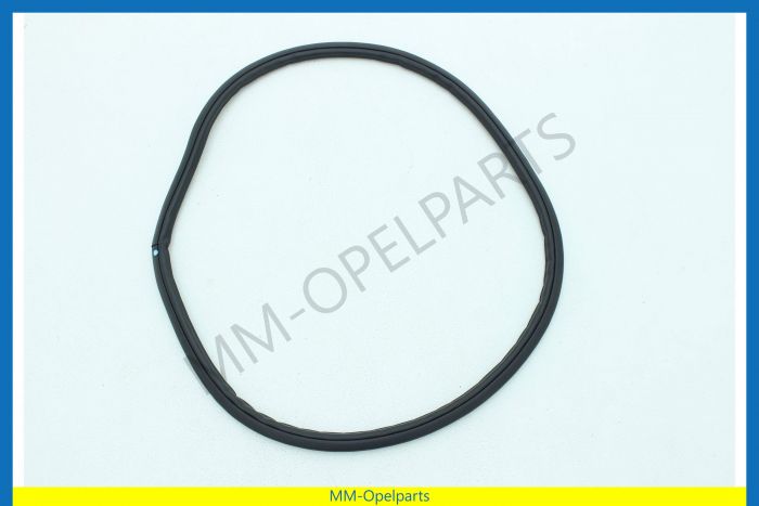 Weatherstrip Rear ventilation window