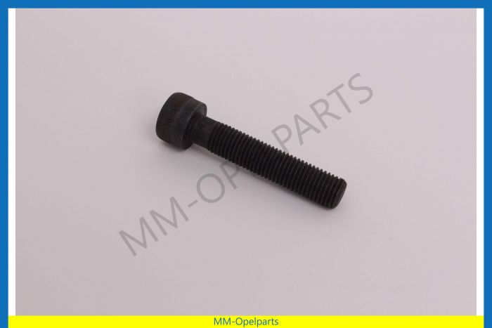 Screw
