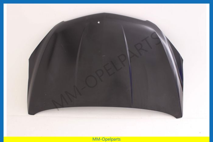 Bonnet  until Vin-number G4999999, GB999999