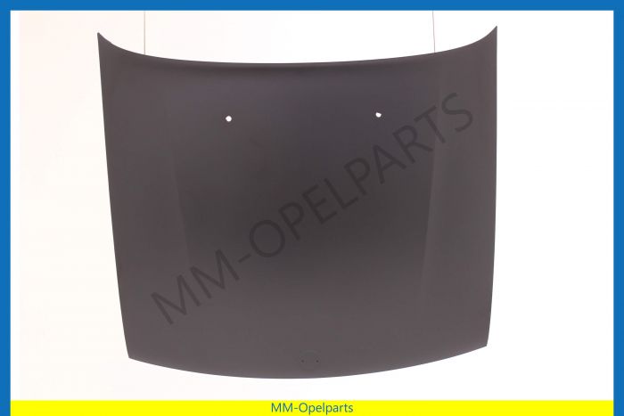Bonnet with emblem hole