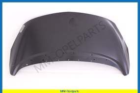 Bonnet  Meriva B  *  Damagd