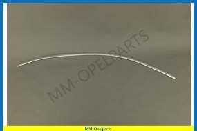 Moulding windowframe, Chrome, right door
