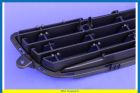 Grille radiator lower except  Line Pack 2, OPC, VXR